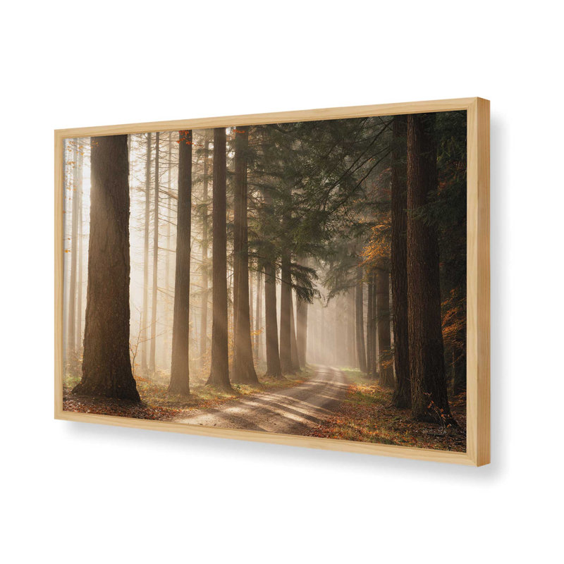 «Morning Sun Beam» par Martin Podt, reproduction d'art, 12 W x 8 H, Tan, Framed Print