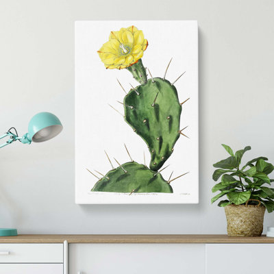Flowering Prickly Pear Cactus - Wrapped Canvas