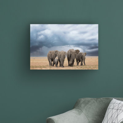 «Elephant Walk» par Renee Doyle - photographie sur toile tendue