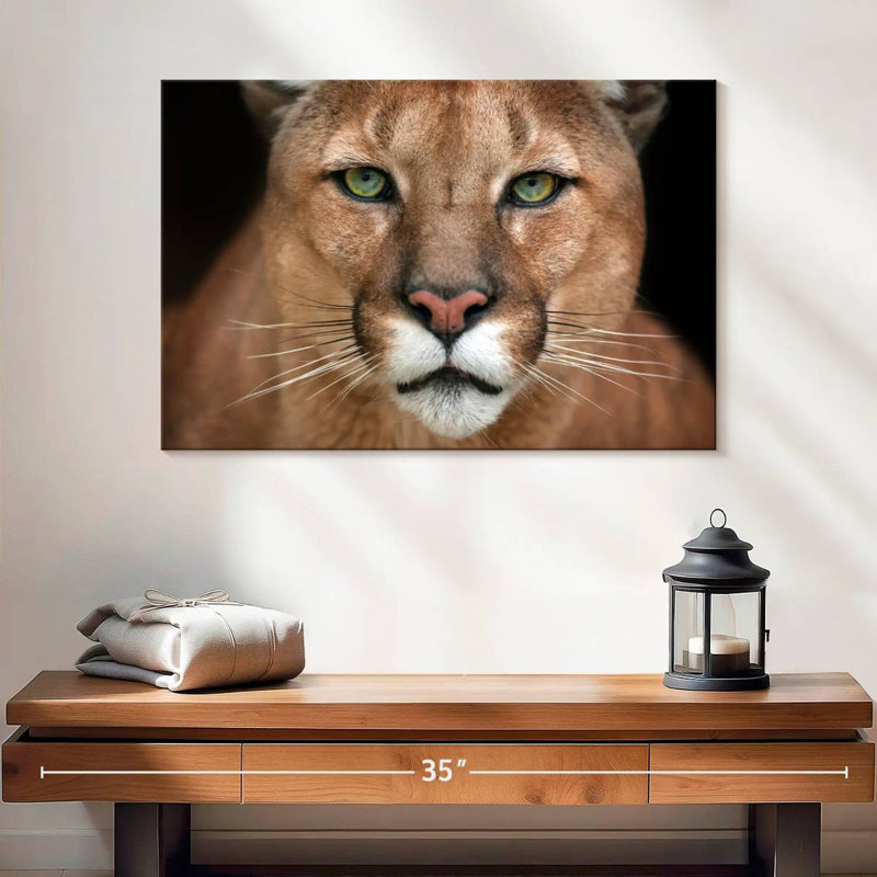 Crowle Staring Puma, 16" H x 24" W
