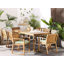 Lale Patio Dining Armchair with Cushion
