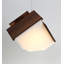 Mica L 1 - Light Pendant-1794956885