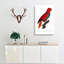 The Eclectus Parrot by F. Levaillant - Wrapped Canvas-55358860