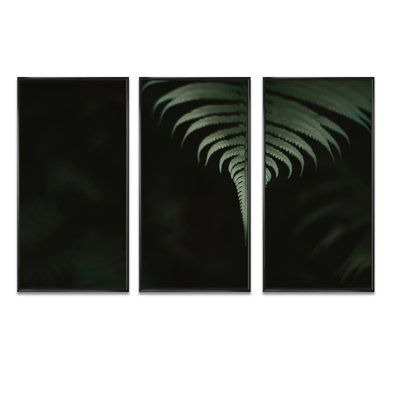 Fougères vert foncé dans la forêt II - ensemble d'art mural sur toile traditionnel encadré de 3