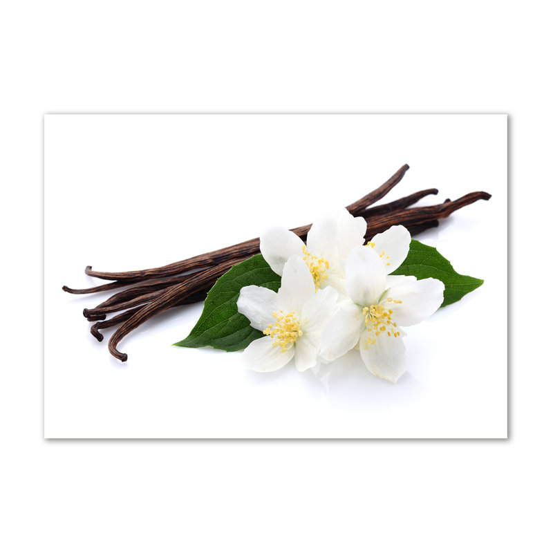 Jasmine And Vanilla - Wrapped Canvas Print