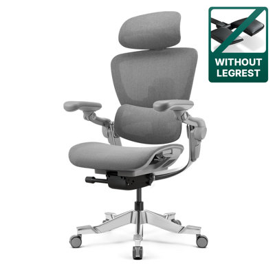 H2 Pro Ergonomic Home Office Chair With Optional Footrest by Inbox Zero