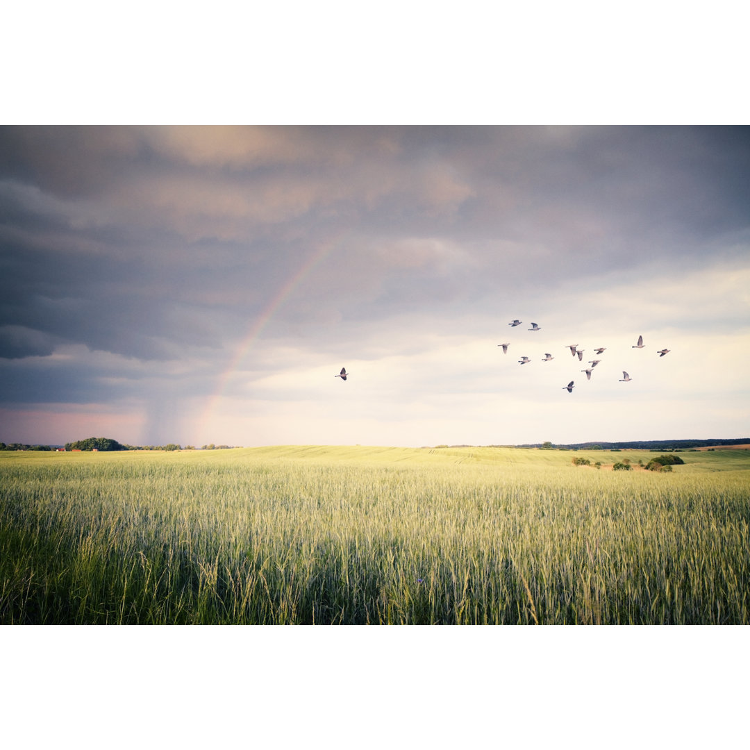 Stormy Day von Rike_ - Drucken