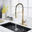Blue Elephant Pull Down Kitchen Faucet-1325887828