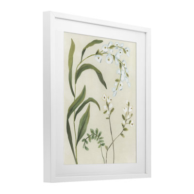 «Soft Snowdrop Stems», reproduction encadrée sous verre, design par June Erica Vess