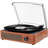 2 - Speed Turntable Decorative Record Player with Bluetooth