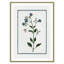 Colombe Shabby Elegance Botanical II - Art encadré-72514456-72514449
