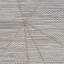 Aliecia Beige Flatweave Indoor Outdoor Rug-69924924