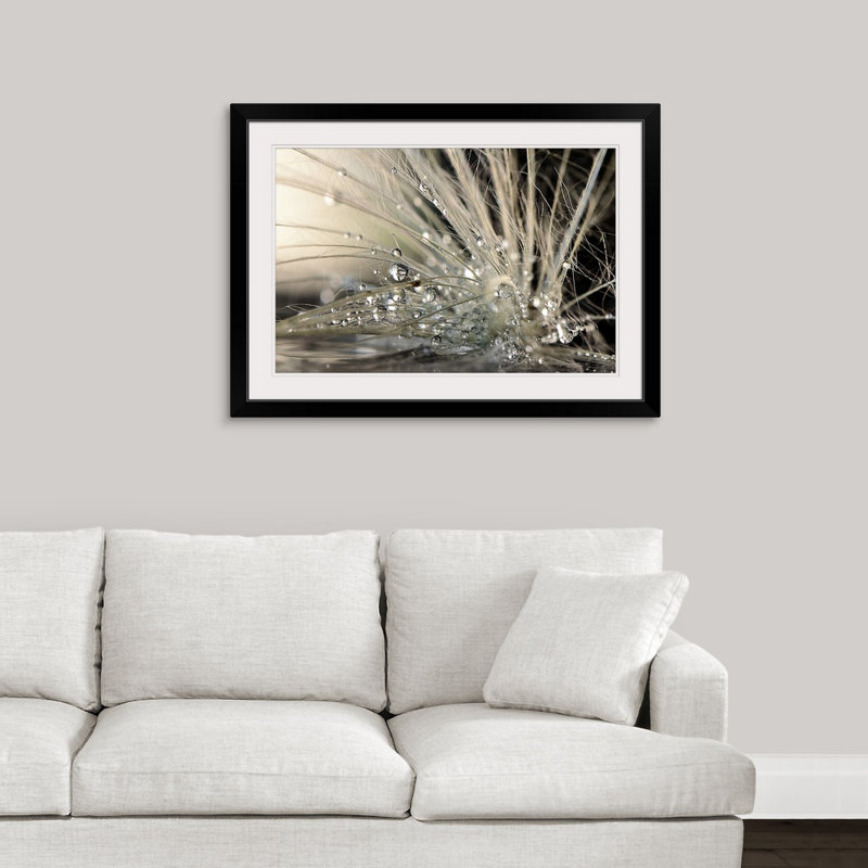 « Straub Pearls » par Maryam Zahirimehr - reproduction de photo, H 28 po x l 38 po, Impression encadrée, Noir