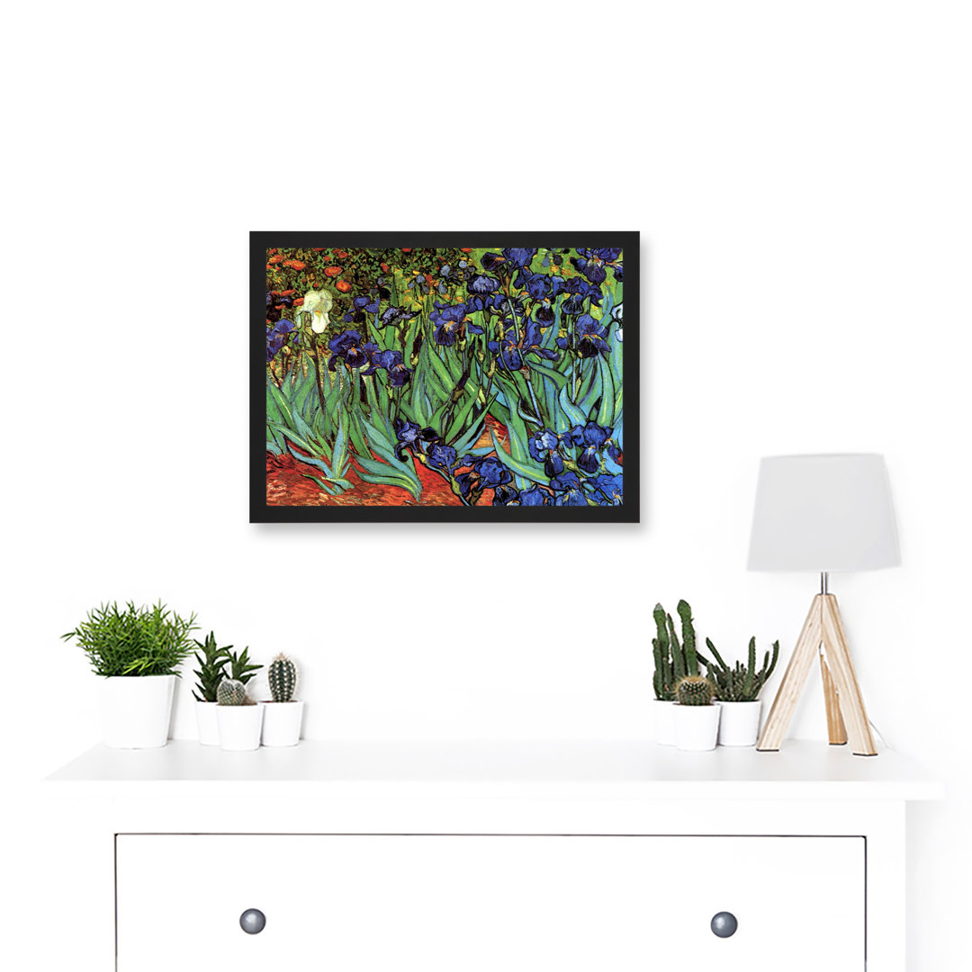Irises by Vincent Van Gogh - Single Picture Frame Painting