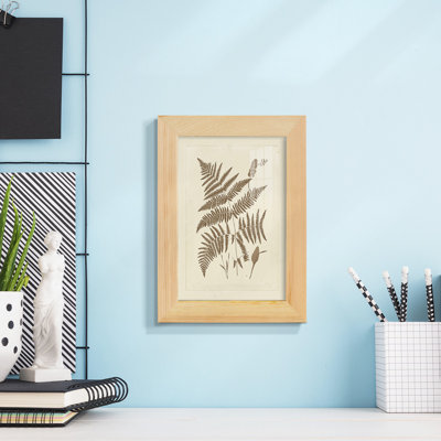 Assiyah " Sepia Ferns I "