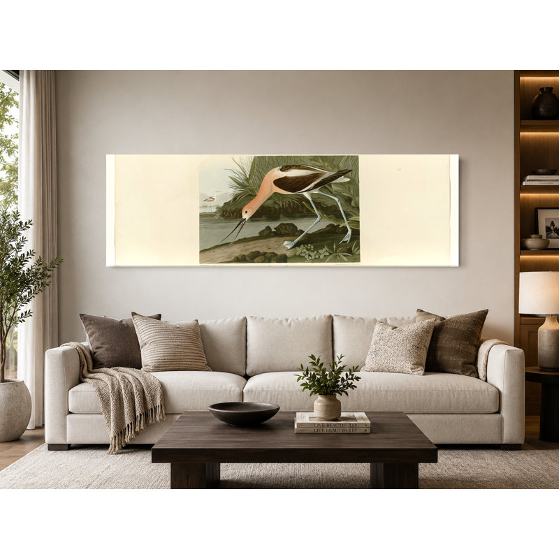 American Avocet (1838) - Art mural sur toile panoramique, 30" W x 10" H