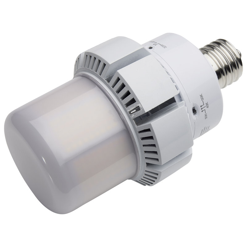 65 Watt White LED Bulb