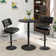 Swivel Adjustable Height Bar Stools with Footrest and Thick Cushion Curved Backrest(Set of 2)