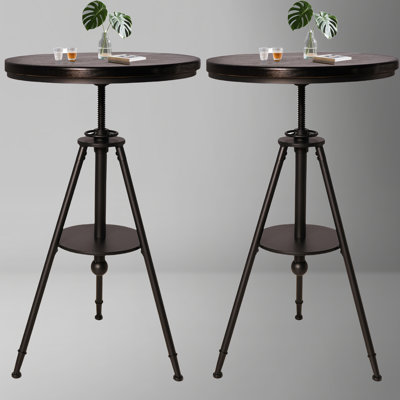 Set Of 2,Dia 23.62" Round Pub Table Height Adjustable With 360 Swivel Metal Tabletop For Dining Bistro Cafe Home Bar, Rustic Black by 17 Stories