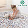Naar Payas Area Rugs, Beige/Geometric Accent Power Loom Machine -Crafted Rug