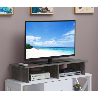 Slayter Large TV Stand for TVs up to 46" by Latitude Run