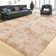 Joyan Deep Pile Fluffy Shaggy Area Rug for Indoor/Outdoor Use