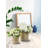 Glass Tabletop Hurricane-171610911