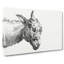 A Head Of A Donkey by Jean Bernard - Wrapped Canvas Print-55368384