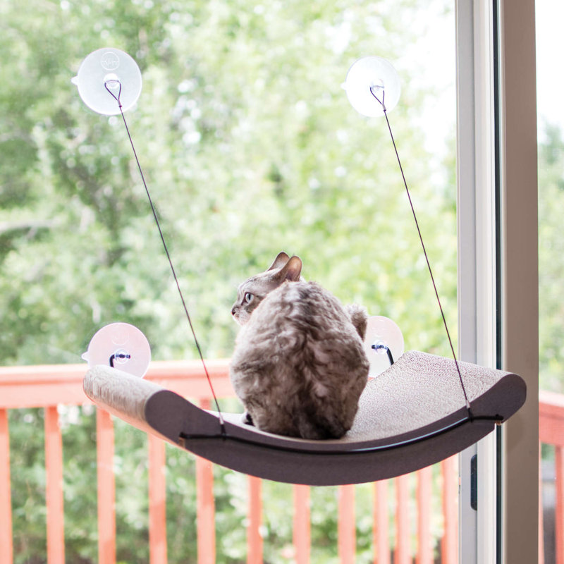 Cat Perch