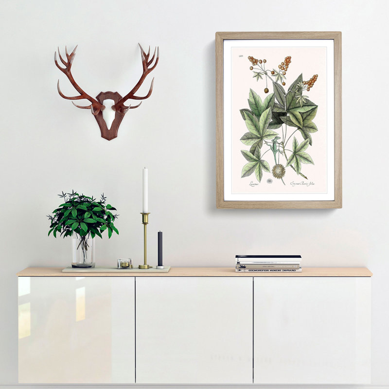 Green Lizard by Mark Catesby - Picture Frame Painting Print, Oak Framed, 36cm H x 27cm W x 2cm D