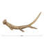 Edirne Aluminum Antler Décor