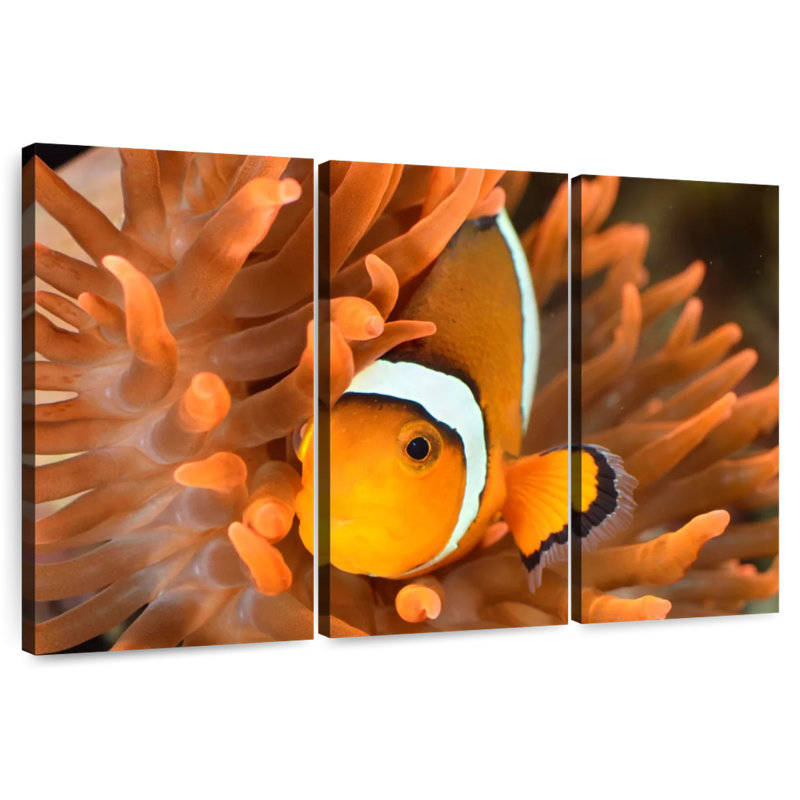 Orange Clownfish, 42" H x 65" W