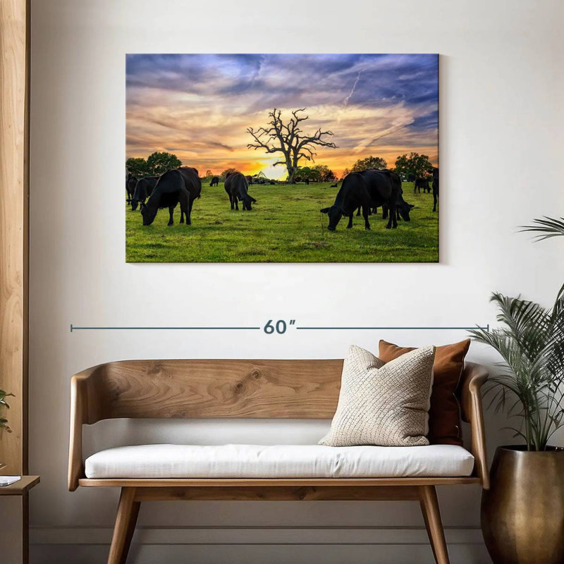 Brampt Grazing Aberdeen Angus, 30" H x 45" W