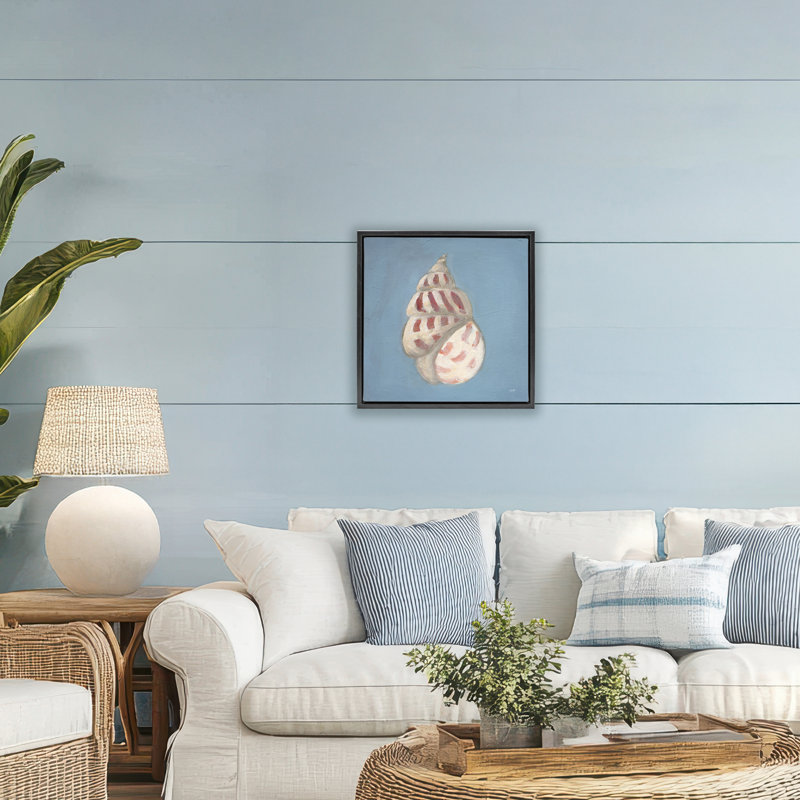 Cadre flottant Soft Sea Cowrie Shell, design par Julia Purinton, Cadre flottant noir de jais, H 18 po x l 18 po