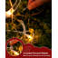 Ensemble de 4 lumières en forme d'arbre de Noël en spirale, blanc chaud, enfichables et pliables pour cour et allée
