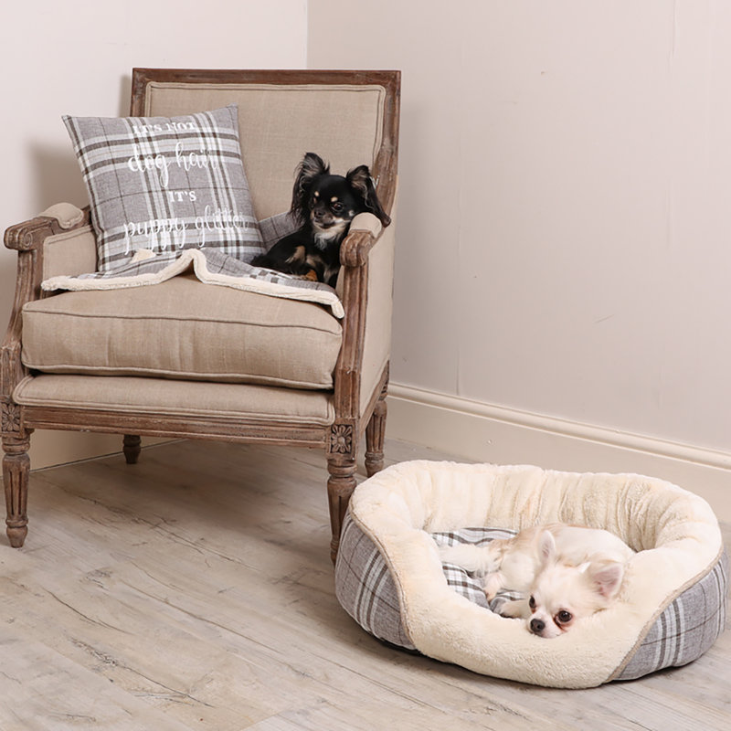 Kurtz Polyester Pet Bed, Medium