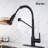 Rainlex Pull Down Kitchen Faucet