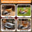 7.9'' Silver Chicken Feeder Rodent Proof