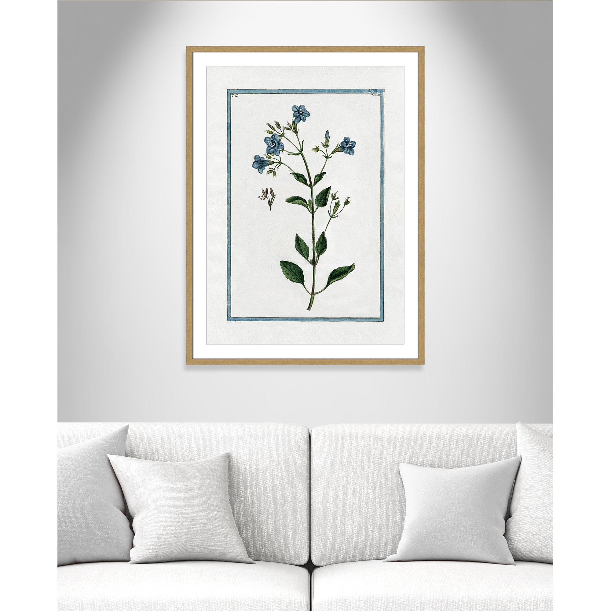 Shabby Elegance Botanical II - Framed Art, 25.5" W x 35.5" H, Natural Framed