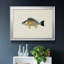«Tropical Fish Collection III», reproduction encadrée de qualité supérieure - prête à être accrochée-774153419-774153429-774163766