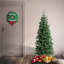 Sapin mince et illuminé-2019838856-2019838857