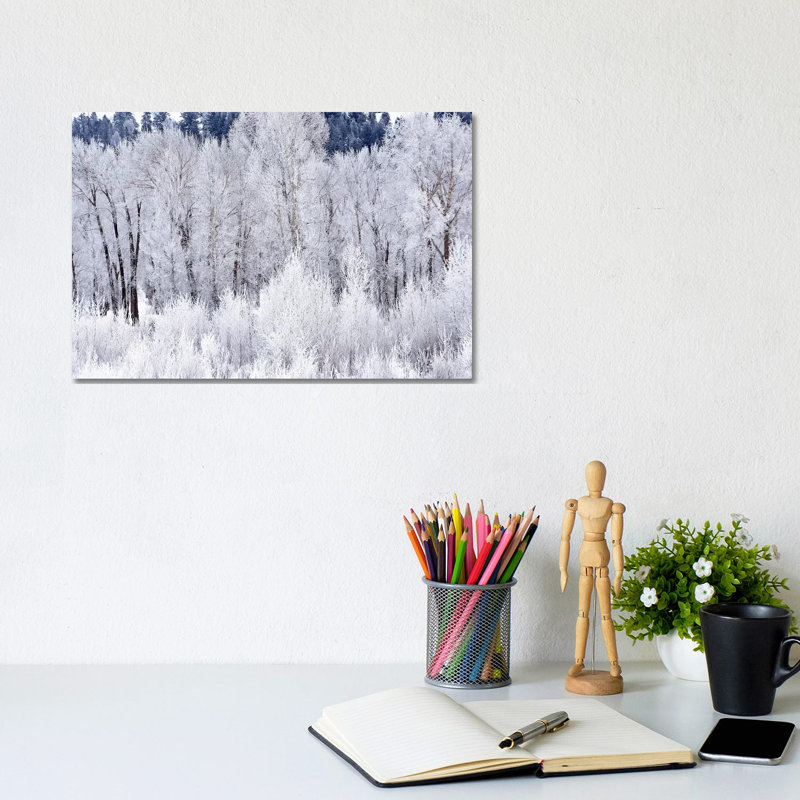 Frosty Morning by Brian Wolf - Wrapped Canvas Print, 20.32cm H x 30.48cm W x 1.91cm D