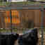 Photos des clients 3 de 5