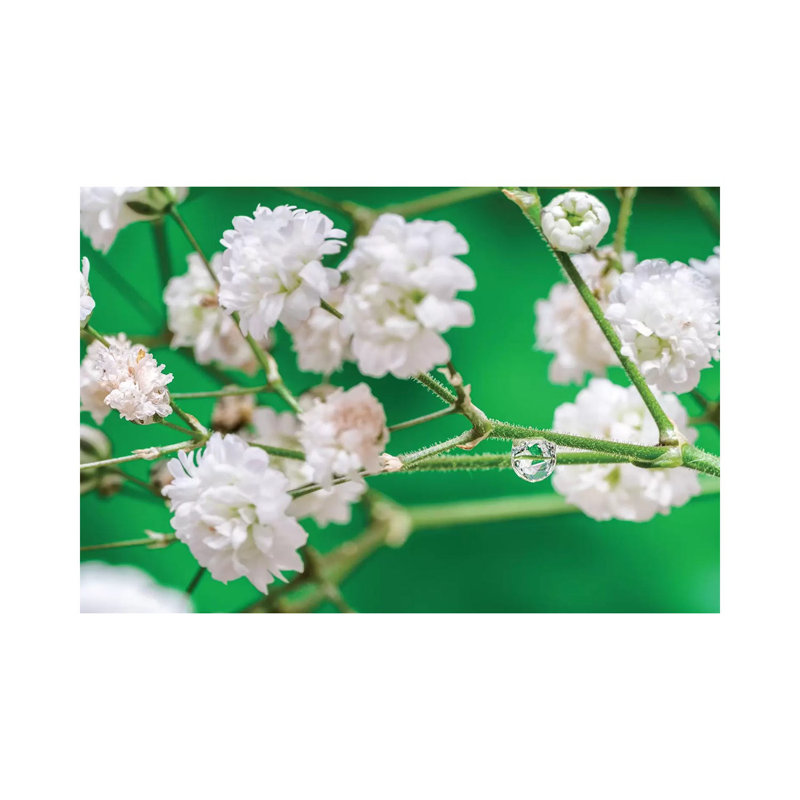 Cherry Tree Blossom by Glauco Meneghelli - Wrapped Canvas Print, 20.32cm H x 30.48cm W x 1.9cm D