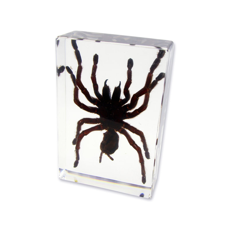 Radley Animals Figurines & Sculptures