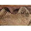 Tapis traditionnel à teinture de légumes antique 4 x 8