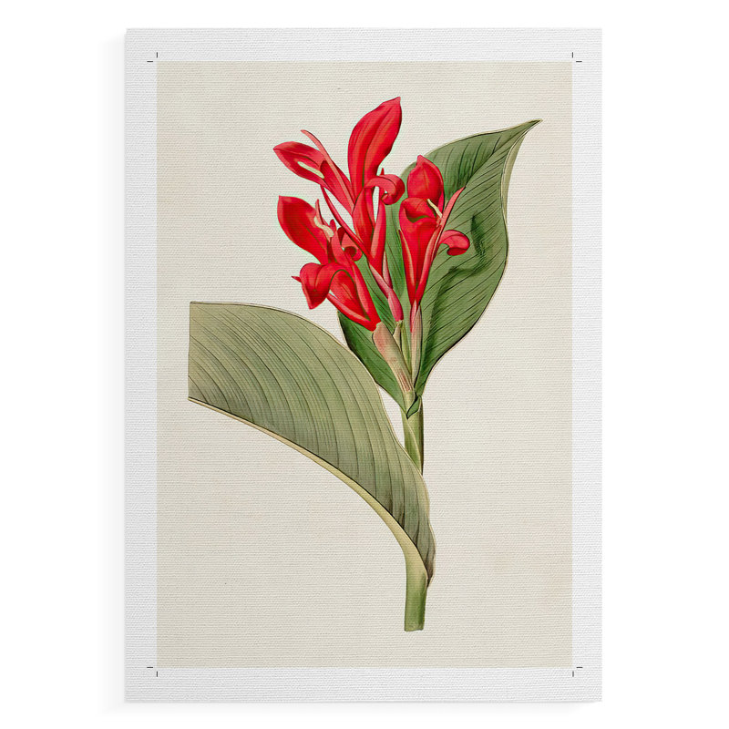 FloraOfTheTropicsIV -Canvas Print Only - NOT FRAMED, 36" H x 24" W