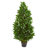 Bay Leaf Artificial Topiary Tree UV