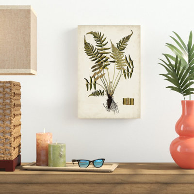 «Fern Botanical IV» par Vision Studio, reproduction sur toile tendue
