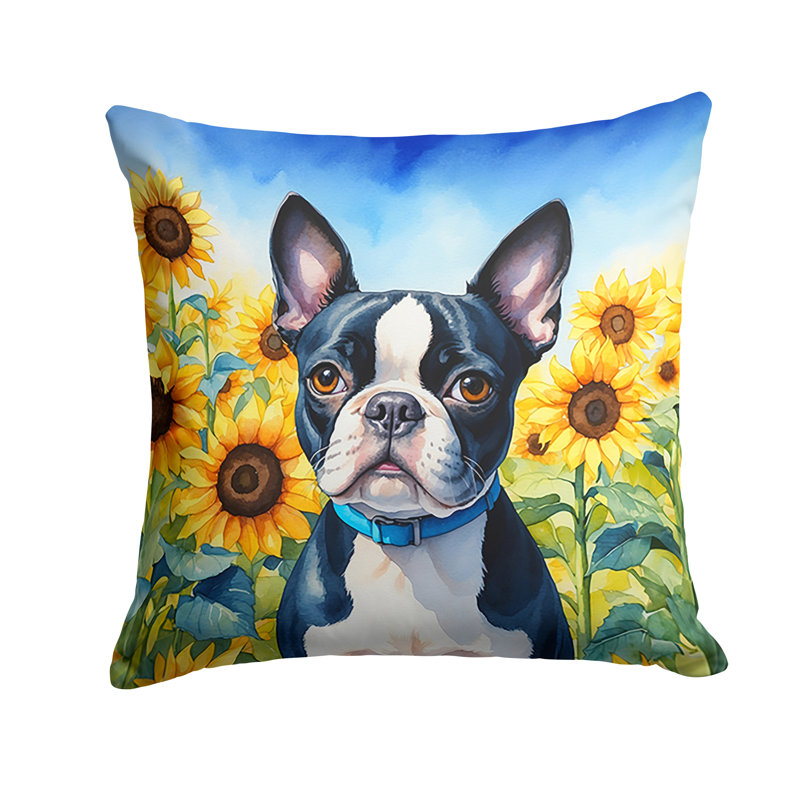 Coussin décoratif intérieur / extérieur Autre / Sans motif, H 18 po x l 18 po